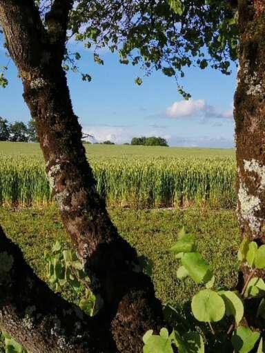 Les Cypres De Crose I Villa Badefols-sur-Dordogne Kültér fotó