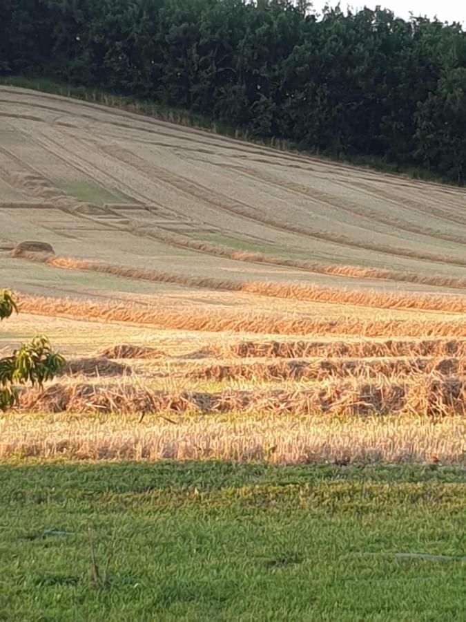 Les Cypres De Crose I Villa Badefols-sur-Dordogne Kültér fotó