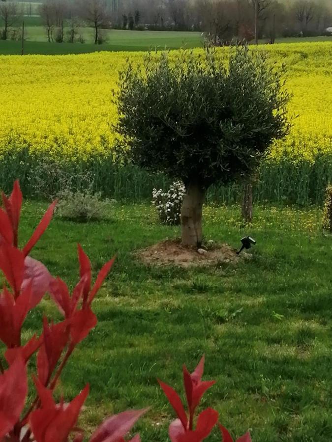 Les Cypres De Crose I Villa Badefols-sur-Dordogne Kültér fotó